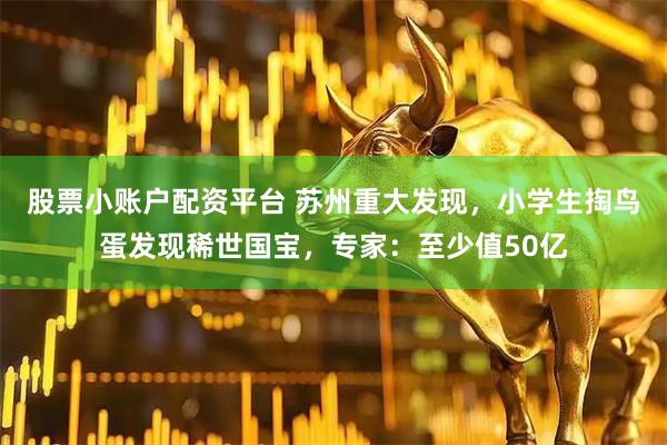 股票小账户配资平台 苏州重大发现，小学生掏鸟蛋发现稀世国宝，专家：至少值50亿